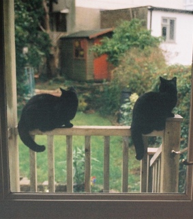 vintage, pale and aesthetic