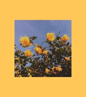 yellow, flowers and asthetic