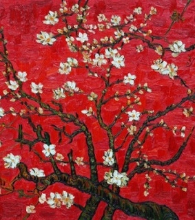 blossom, white and vincent