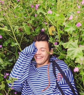 flowers, harry styles blue and harry styles green