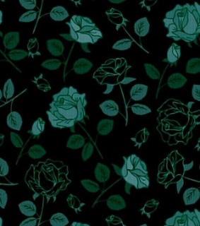 roses, ideas and iphone