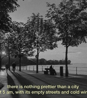 walk, trees and meaningful quote