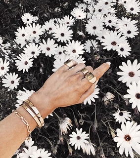 flowers, fashion and bracelets