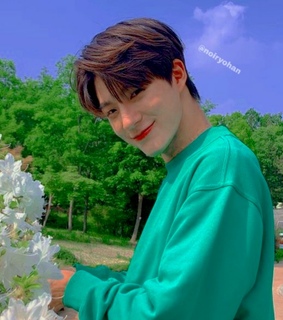 blue, nct u and jeno icons