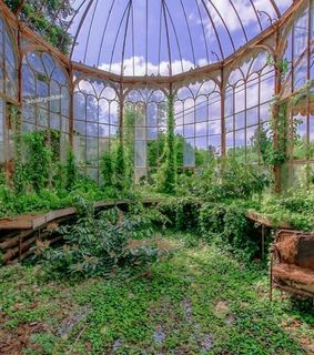 nct 127, kpop themes and jeno icons