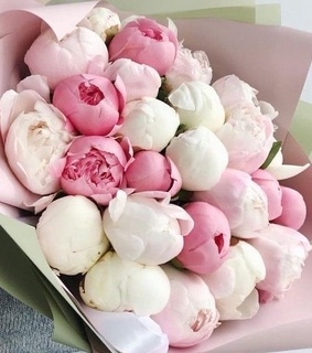 flowers, peonies and rose peonies