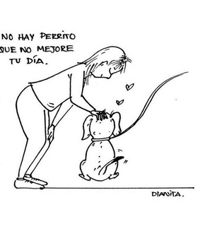 truth, adopt don't shop and dogs