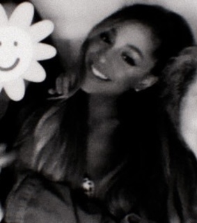 ariana grande, ariana grande layout and twitter layout