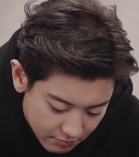 lq exo, kpop and chanyeol