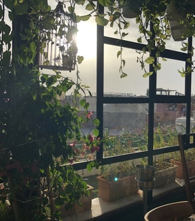 plants, view and marrakech