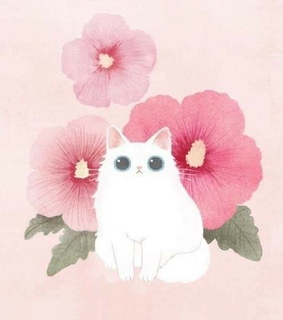 gatitos, pantalla and fondos de pantalla