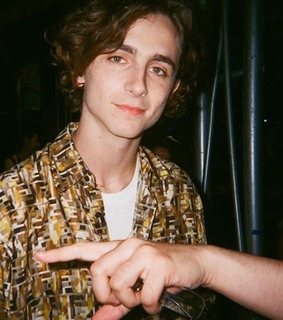 timothee chalamet icon, timothee chalamet and timothee