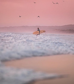 boards, surfing and surf