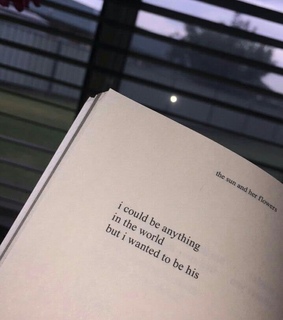 text, the sun and her flowers and books