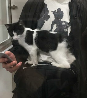 goth, black and grunge