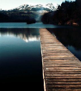 snow, white winter and snowy