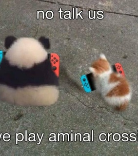 animals, switch and game