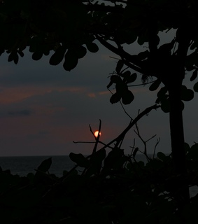 sunset, quarantine and fujifilm