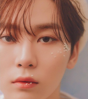 vocal team, seventeen and bss