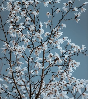 sky, photography and primavera