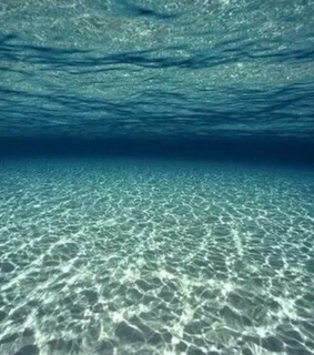 underwater, fishes and sea