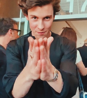 gorgeous, amazing and mendesarmy