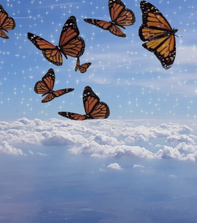 mariposa, cloud and ph