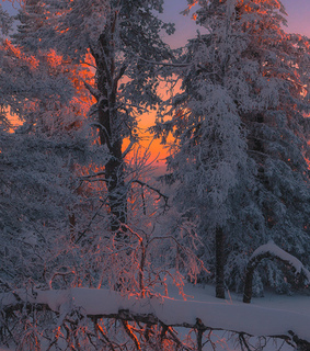 orange, white and red