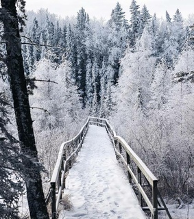 white, winter inspo and snowy