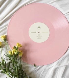 magnolia, alternative and yellow flowers