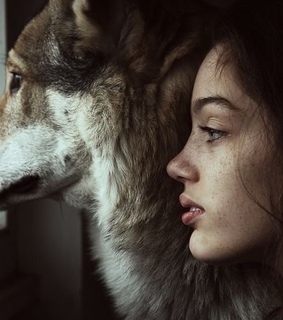 fenetre, loup and mignon