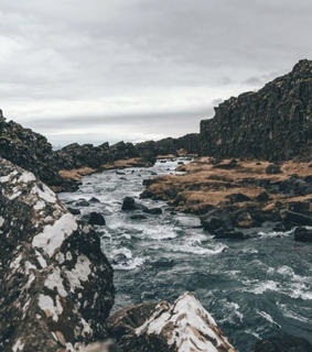 dark, outdoors and wilderness