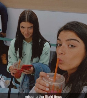 charli damelio, dixie and charli