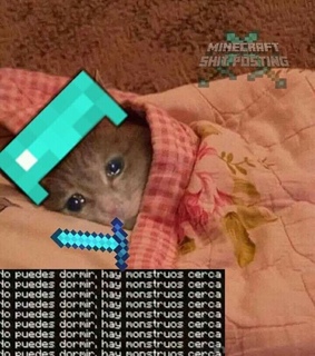 meme, minecraft and michi