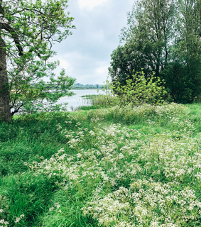 nature, personal and adventure