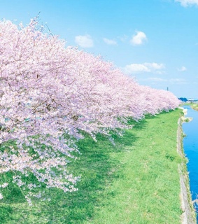 blue, sky and pastel