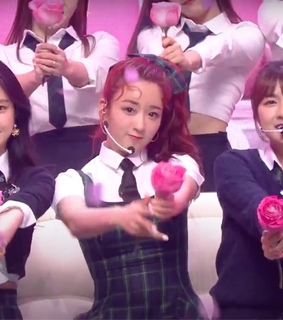 kpop, kim namjoo and naeun