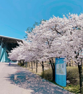 sky, seoul and nature