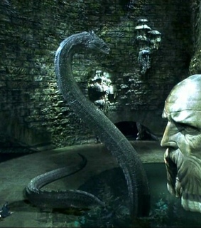 tom riddle, slytherin and basilisk