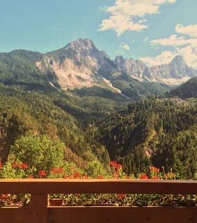 unfiltered, green and unfiltered pic