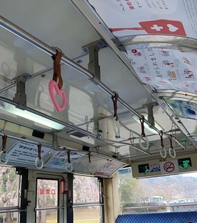 photography, aesthetic photo and unfiltered