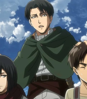 mikasa ackerman, Levi Ackerman and snk