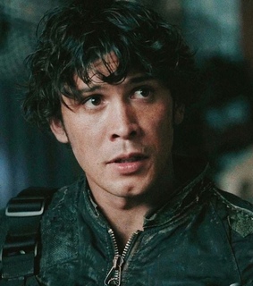 the 100, tv show and bellamy