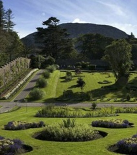 doyouwantthis, alongcamelife and ireland