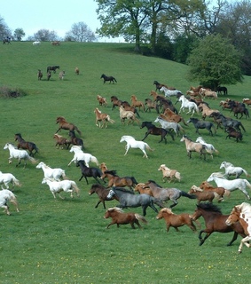 soft, cottagecore and green