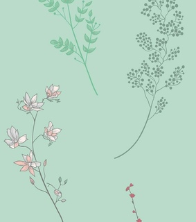 aesthetic wallpapers, plants and nature wallpapers