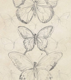 illustration, aesthetic and design