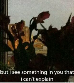 words, text and archive