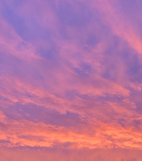 sky, lavender and romantic