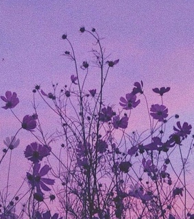 tumblr, ? and ?????????????